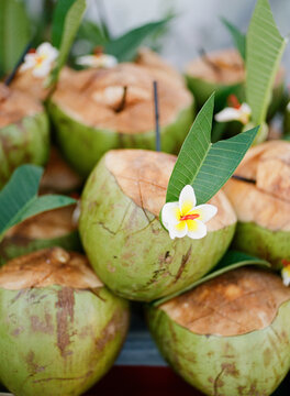 Tropical Fruit Stand in natural light