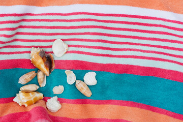Collected seashells on beach towel