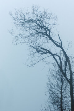 Misty landscape on volcano