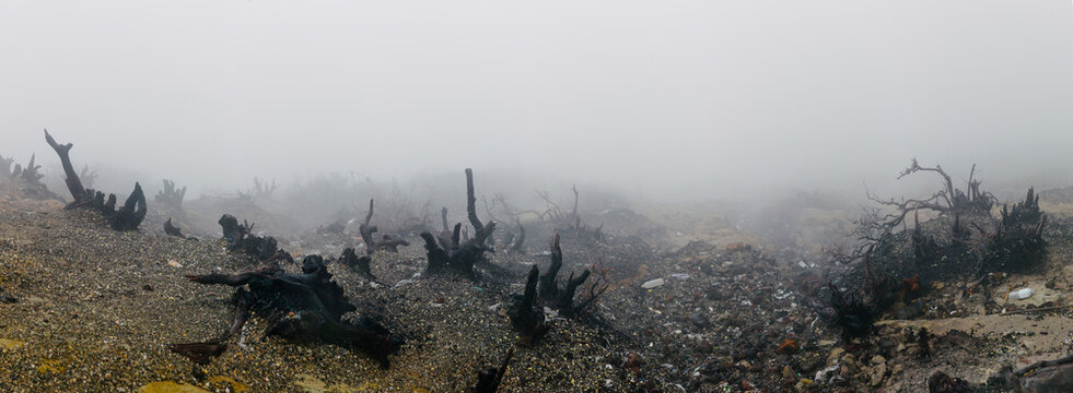 Sulfuric stratum in volcano valley