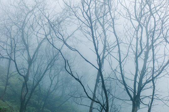 Misty landscape on volcano
