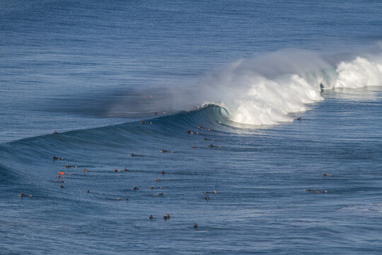 Crowded House