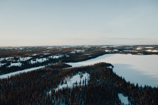 Frozen Lakes and Forests in the Arctic