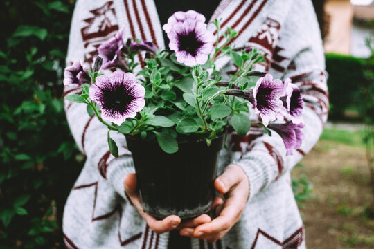 Holding flowers