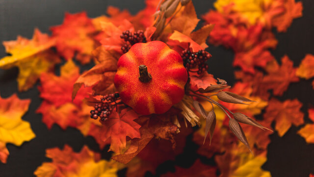 pumpkin among leaves for halloween