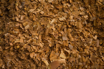 Old Wood.Natural Wooden Texture Background. 