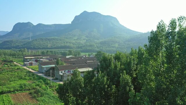 Small village in Henan of China in summer, green mountain background and green tree foreground