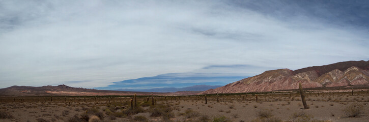 Fototapeta premium Desolated landscape. Panorama view of the arid desert, sand, vegetation and mountains in the horizon under a beautiful blue sky with clouds.