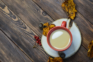 cup of cocoa acorns rowan leaves top view, autumn warming drink, coffee with milk or cappuccino
