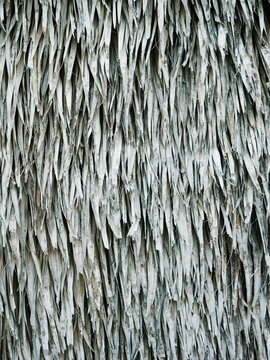 Texture of straw wall. Old palm leaf pattern.