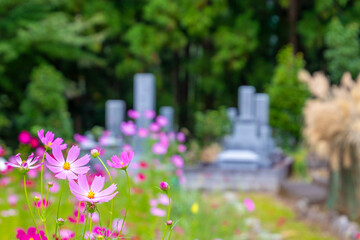 お彼岸の墓参り