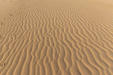 Tottori prefecture beautiful tottori Dune