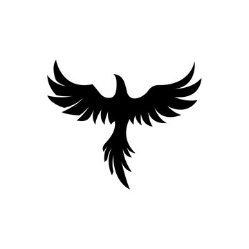 recommend clip art: Illustration vector graphic template of phoenix flying silhouette logo