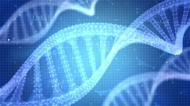 Detailed digital interface of futuristic DNA analysis process Motion graphic loop Background. Light blue futuristic DNA User Interface,Digital screen,Medical HUD and DNA laboratory research display - Powered by Adobe