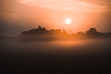 Obraz na płótnie Canvas Sunrise over trees and a layer of fog drifting over a soybean field. 