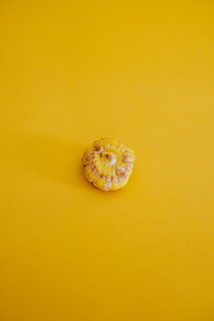 Gladiolus seed on yellow background