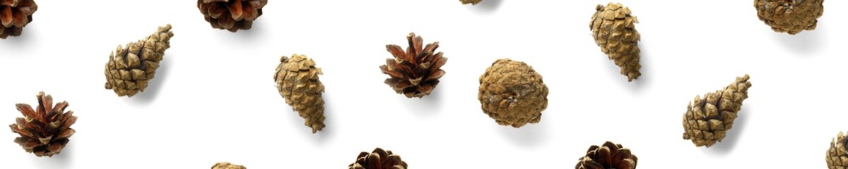 Pine cone Christmas background on white. Pine branches and cones. minimal creative cone arrangement pattern. flat lay, Modern christmas Background.