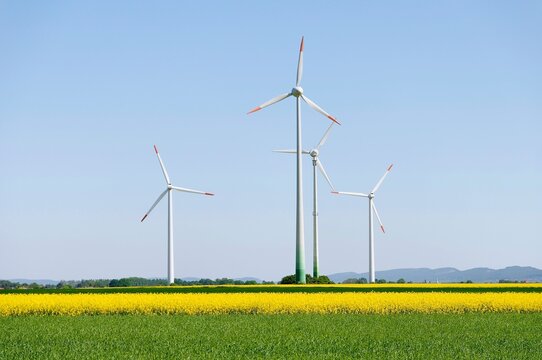Rapeseed energy
