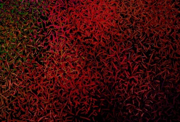 Dark Green, Red vector texture with colored lines.