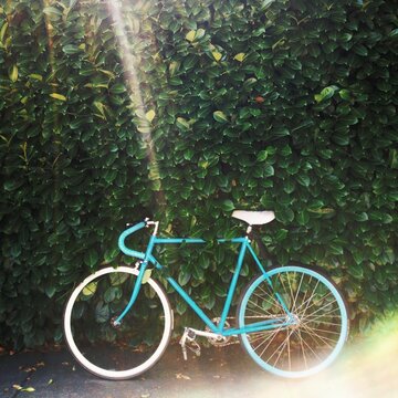 Blue Hipster Bike