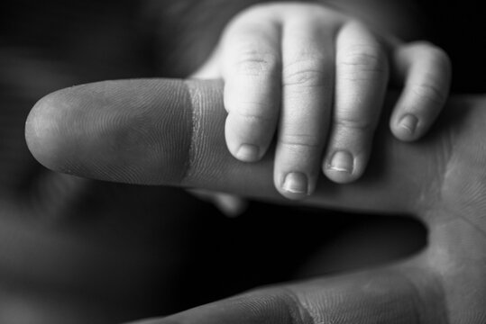 Litle hand holding an adult finger