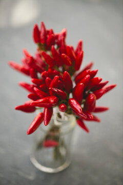 Red peppers bouquet in glass jar seen from above