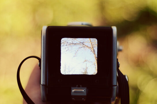 Through the viewfinder