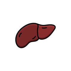 liver vector design template illustration