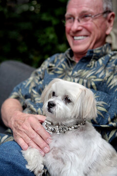 Older man holding white dog on his lap