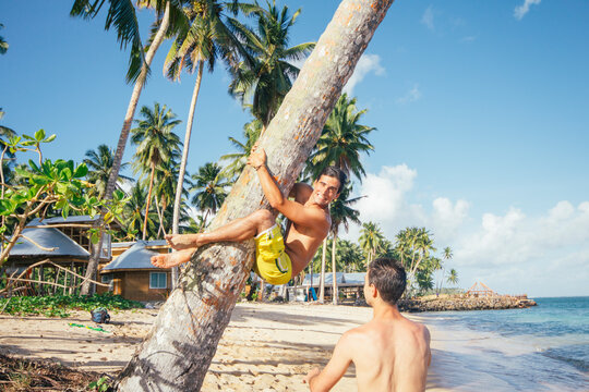 Young happy man climbing palm tree on a tropical island beach