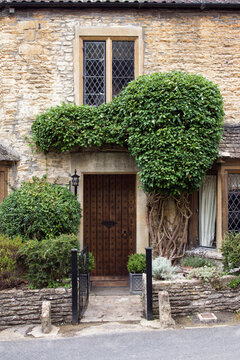 Rustic cottage doorway with creeper