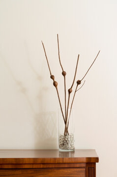 Goldenrod stems with galls in a vase on a wooden table