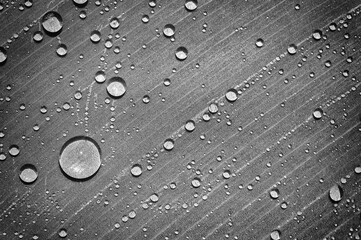 water drops on leaf, monochrome toned process, macro shot.