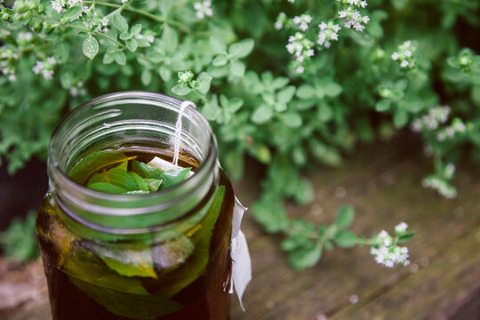 Sun Tea with Mint in the Garden