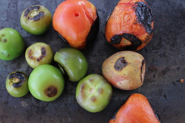 Tomates y xoconostle asados 