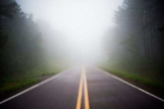 Foggy Dreamy Mornings