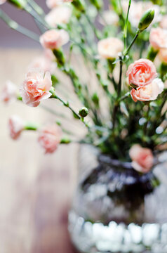 dianthus flowers in a vase
