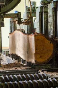 Wood processing in wood floor factory