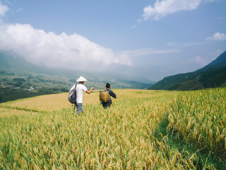Walking on rice field in Sapa, Vietnam - adventure travel