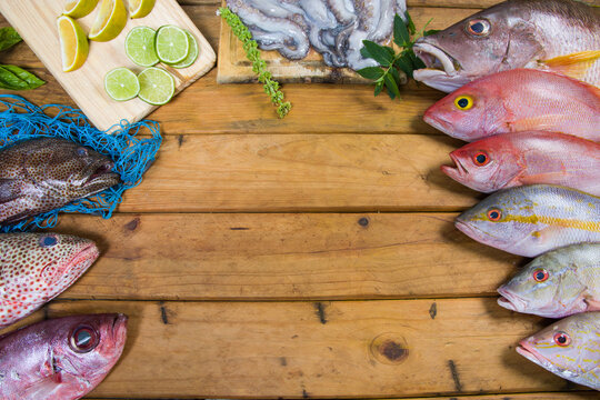 Variety of Snapper fresh fish and octopus from South America for commercial purposes. Wooden Background
