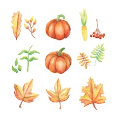 set of autumn icons