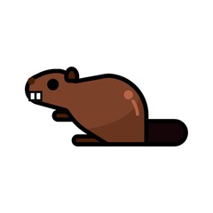beaver