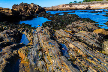 Layers of  Sand Stone and Mudstone With Pebbles, Weston Beach,Point Lobos SNR, Big Sur, California, USA