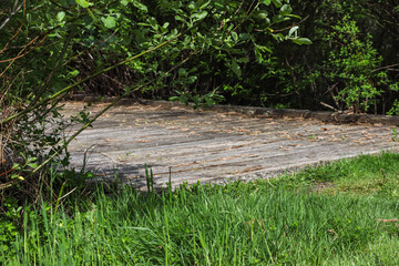 grass and weeds in front of small wooden bridge