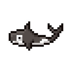 Orca 8-bit vector illustration