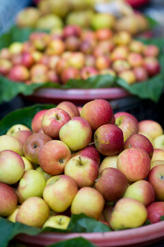 Apples bumper in farmer market