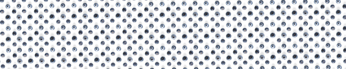 Background of Freshly picked blueberries on white backdrop.