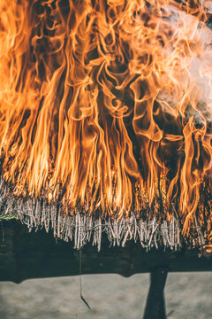 group of friends cooking snails