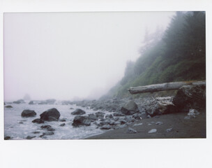 Foggy Beach