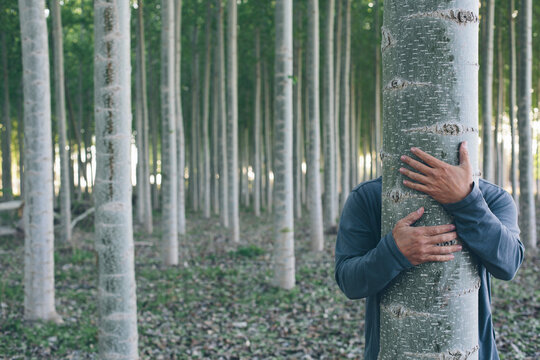 Tree hugger
